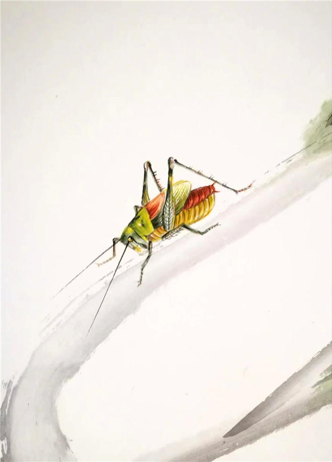 7 7