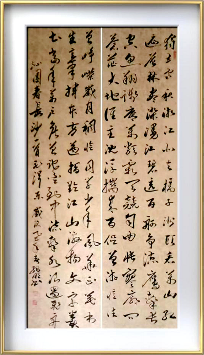 图片11 图片11