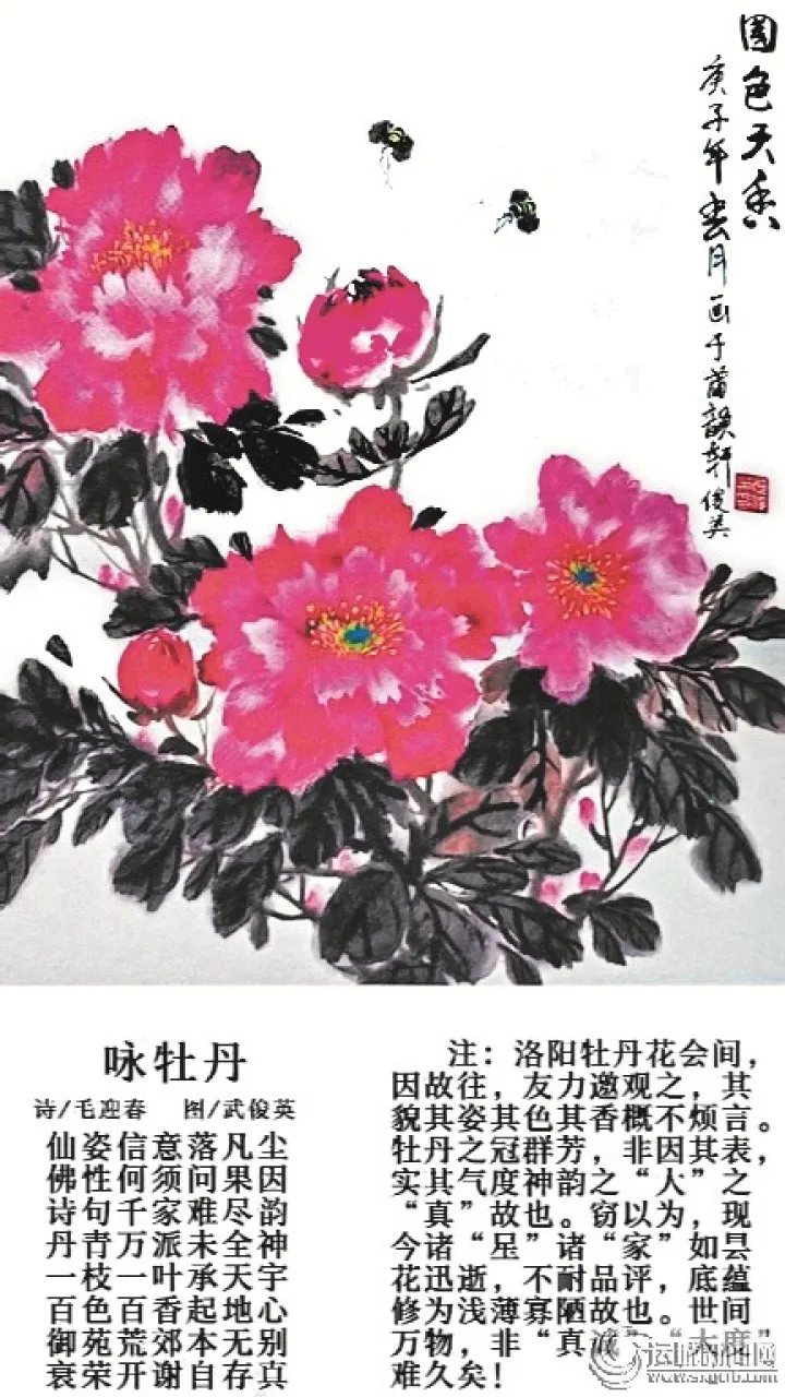 c919ab74-a926-40a1-9b95-5ff82e24e502.webp (1) c919ab74-a926-40a1-9b95-5ff82e24e502.webp (1)