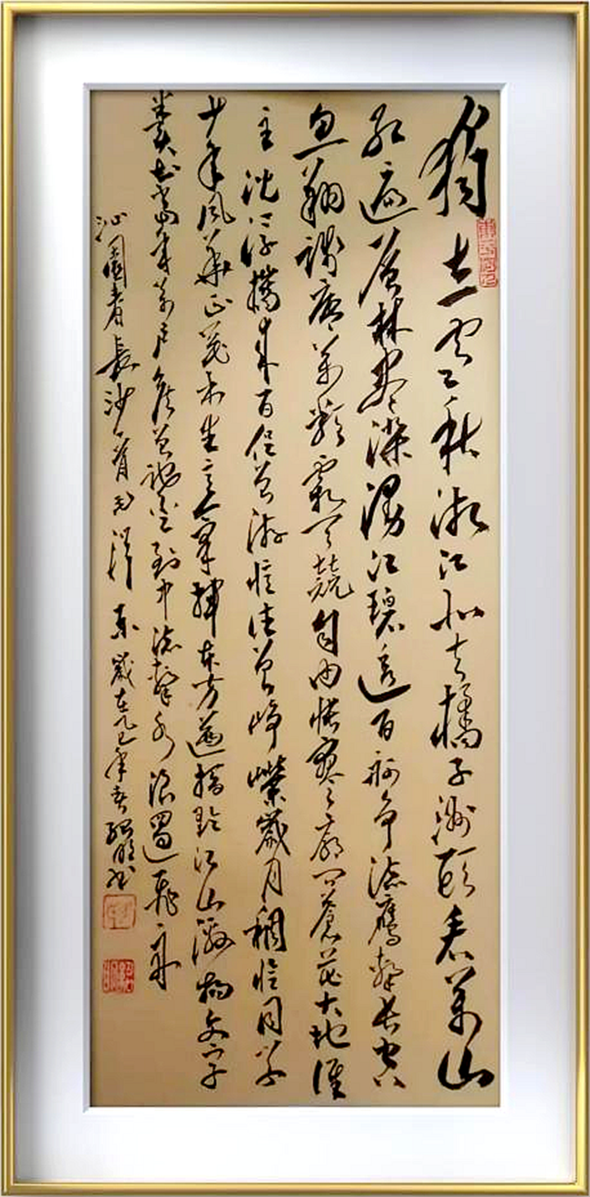 图片14 图片14