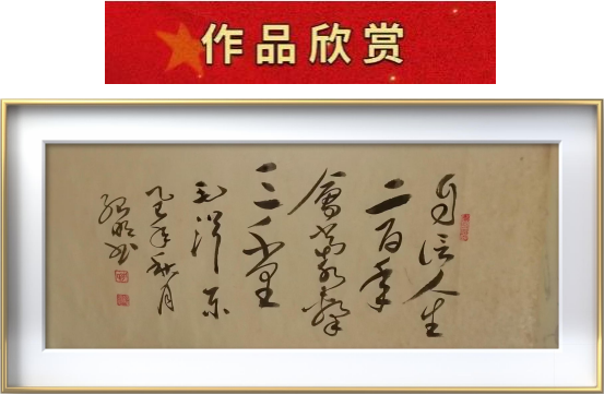 图片4 图片4