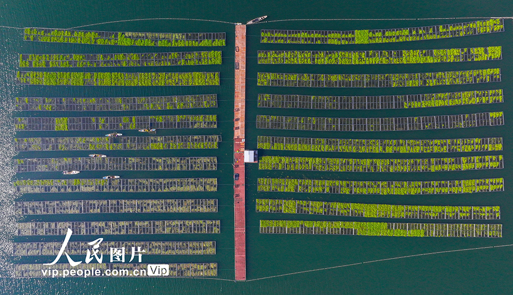 MAIN1763513114673X7JNSC9636 MAIN1763513114673X7JNSC9636