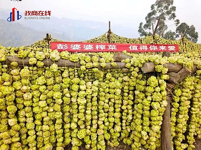 图片8 图片8