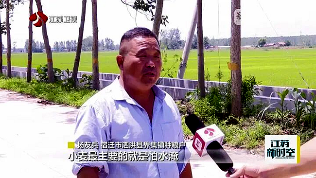 图片4 图片4