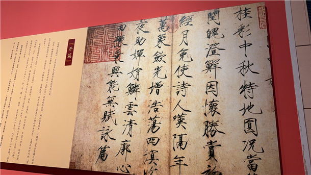 图片5 图片5