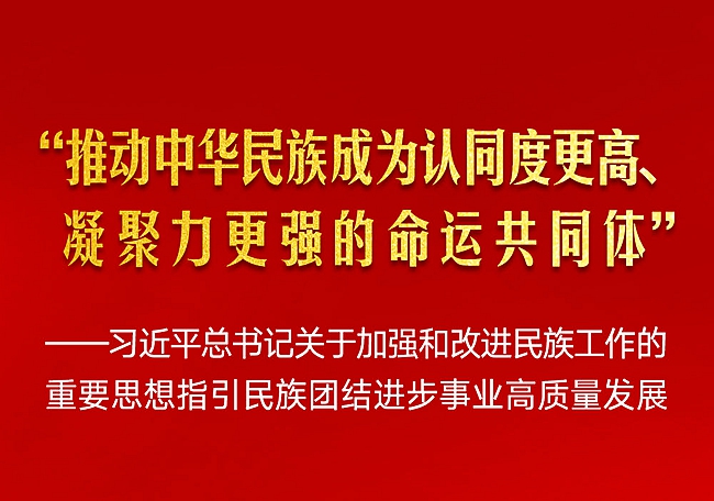 习近平总书记指引民族团结进步事业高质量发展