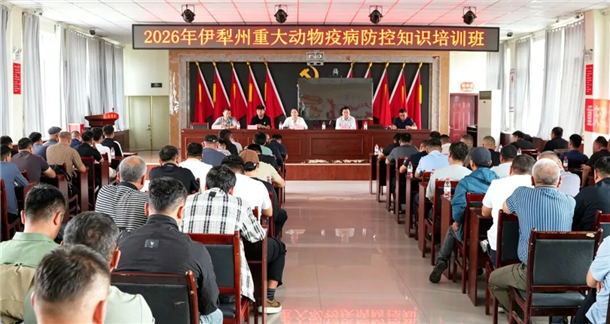 图片9 图片9