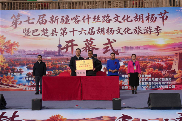 图片5 图片5